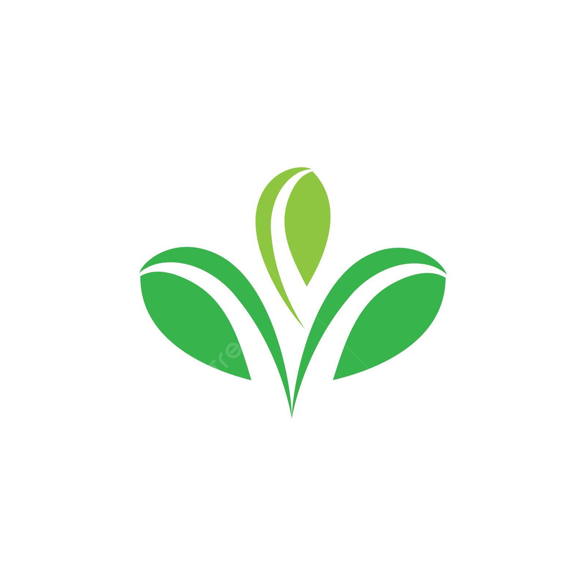 Brand 1