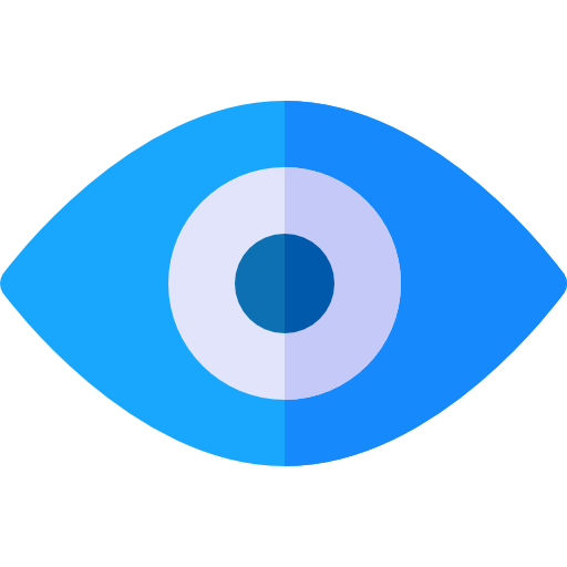 vision